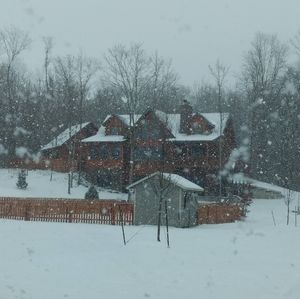 Meet your Posher, Maddie